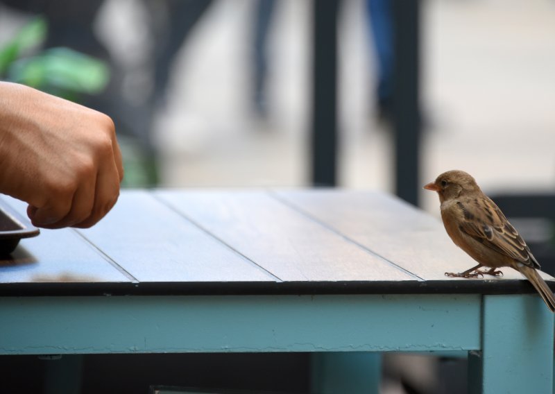 Ugostiteljstvu rashodi rasli brže od prihoda: Troškovi stisli