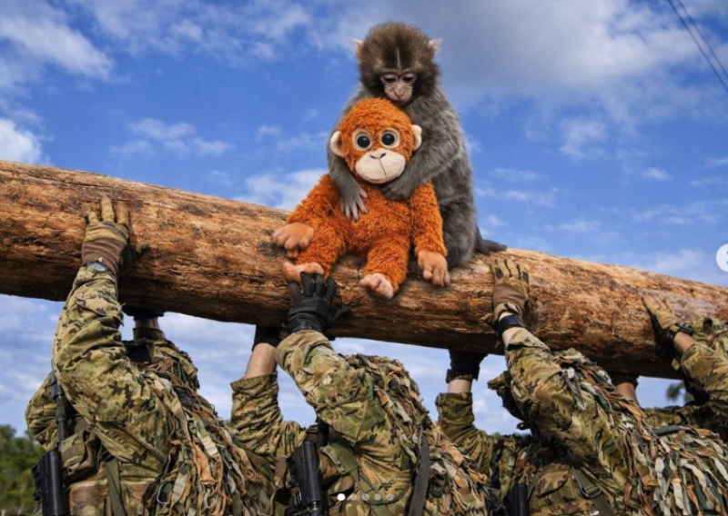 Globalno poznati majmunčić 'posjetio' HV: Pogledajte kakve su fotke objavili u MORH-u