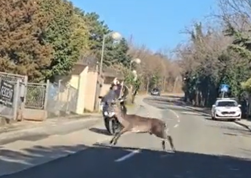 VIDEO: Pogledajte najneobičniji sudar nasred Pantovčaka, sve se odvilo pred očima policije