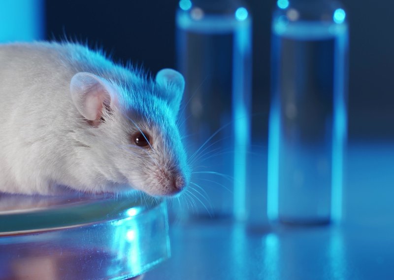 Znanstvenici pronašli kombinaciju lijekova koji produljuju život - ali ne baš svima