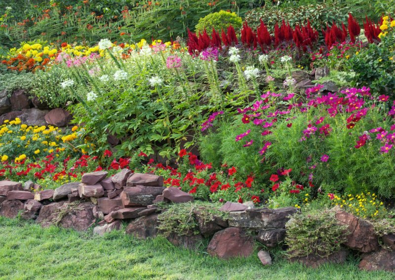 Kako kombinirati cvijeće da vrt izgleda luksuzno bez velikog budžeta