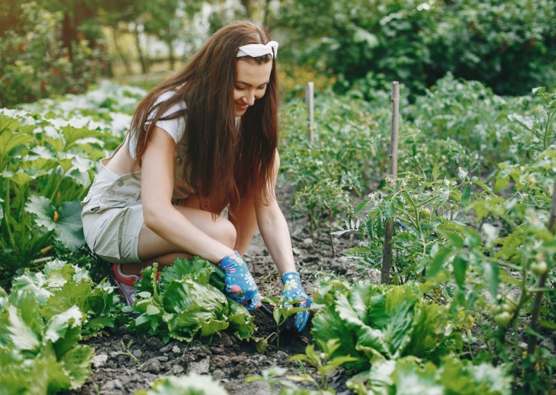 Zaboravite na obilno zalijevanje: Ova stoljetna vrtlarska metoda sama hrani biljke