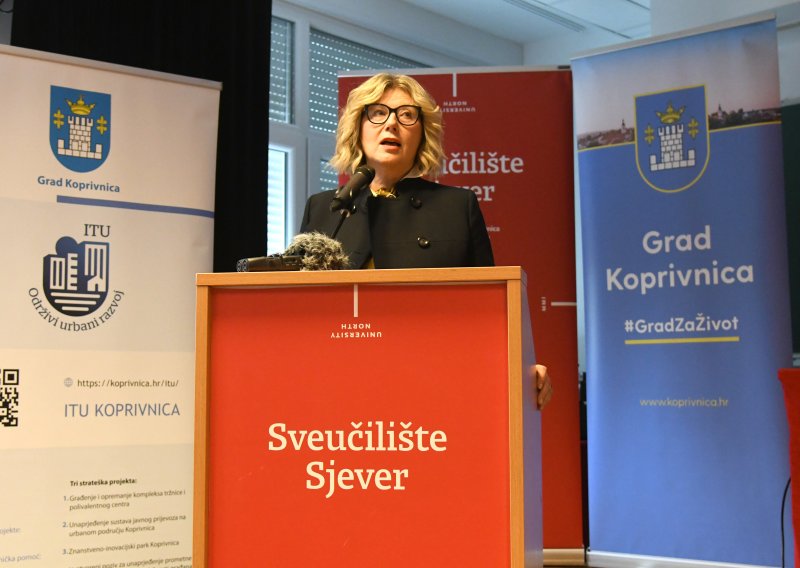 Dogradonačelnica vozila pijana, HDZ traži ostavku: 'Vozila sam s Čolićevog koncerta. Ispričavam se'