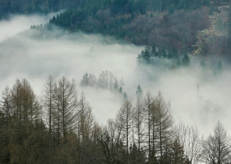 Srpski zapovjednik prijavljen za ratni zločin: Tijelo hrvatskog zarobljenika bacio u šumu