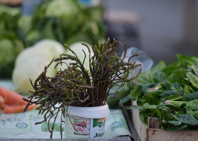 Šparoge stigle na tržnice: Cijene su visoke, ali kazna za branje bez dozvole je brutalna
