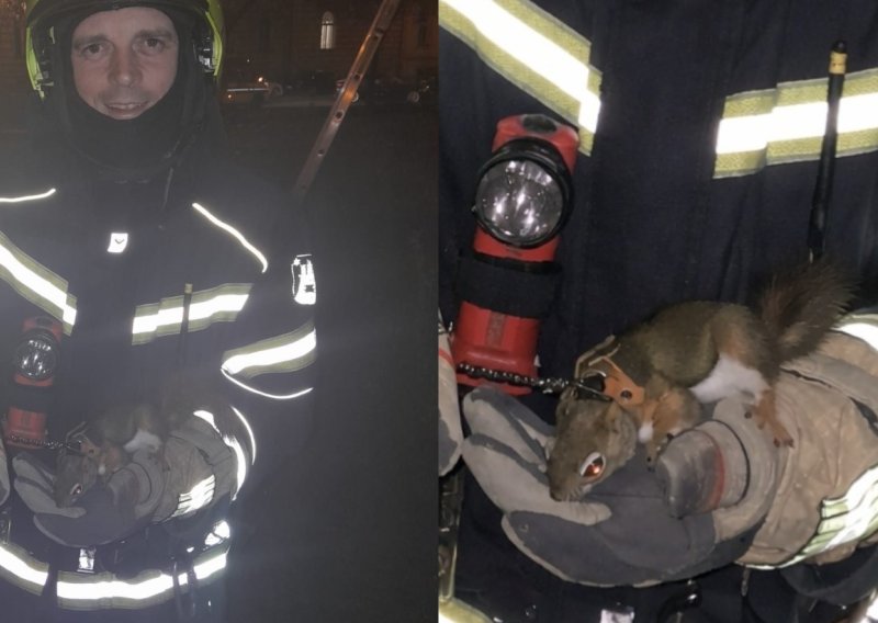 FOTO Zagrebački vatrogasci u neobičnoj intervenciji: 'Koko je htjela vidjeti Štros'