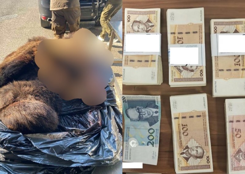 FOTO Carinici kod Srba pronašli hrpu gotovine i kožu mrkog medvjeda