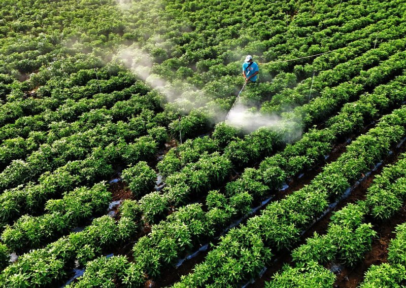 Nije samo nafta: Kako bi rat na Bliskom istoku mogao izazvati manjak hrane diljem svijeta