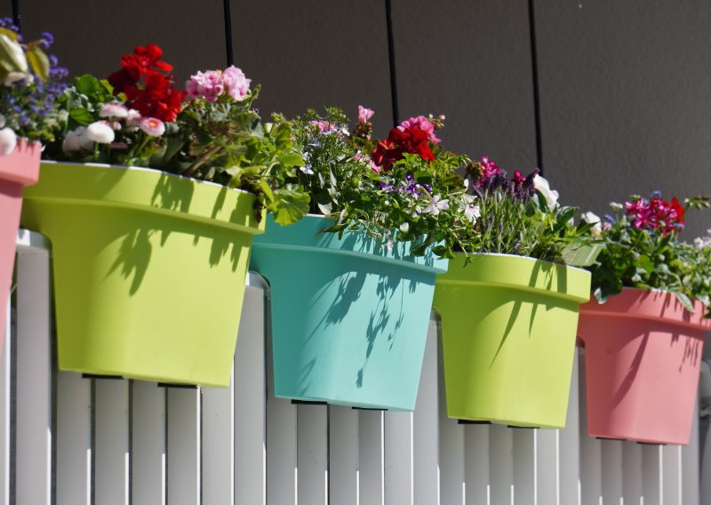 Balkon može izgledati raskošno bez puno muke: Ove trajnice pravi su izbor