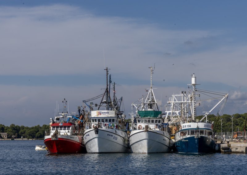 Riba će poskupjeti, a možda je neće biti: 'Račun za gorivo sada je jednak prihodu'