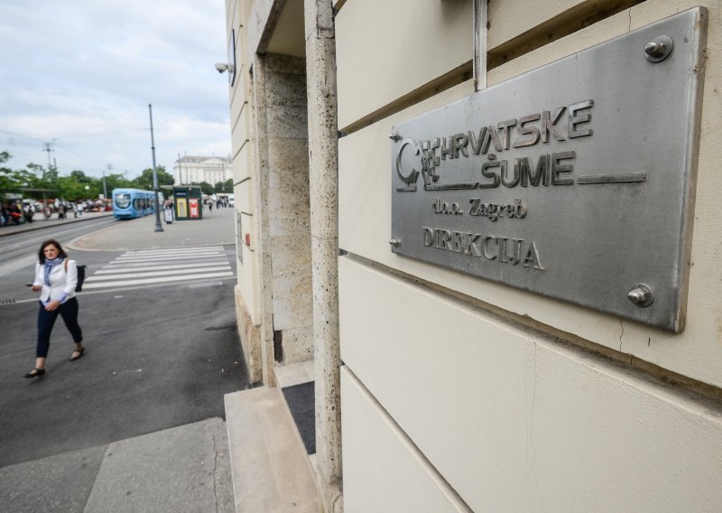 SDP: Hrvatske šume sinonim za afere