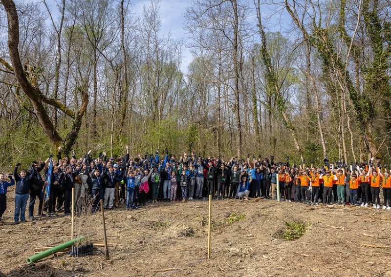 U Motovunskoj šumi posađeno 1000 sadnica hrasta lužnjaka