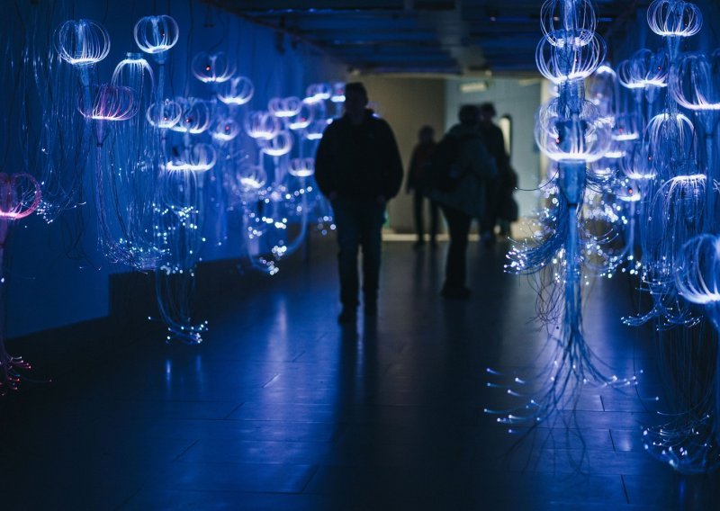 Konferencija Učiniti nevidljivo vidljivim spaja znanost i umjetnost