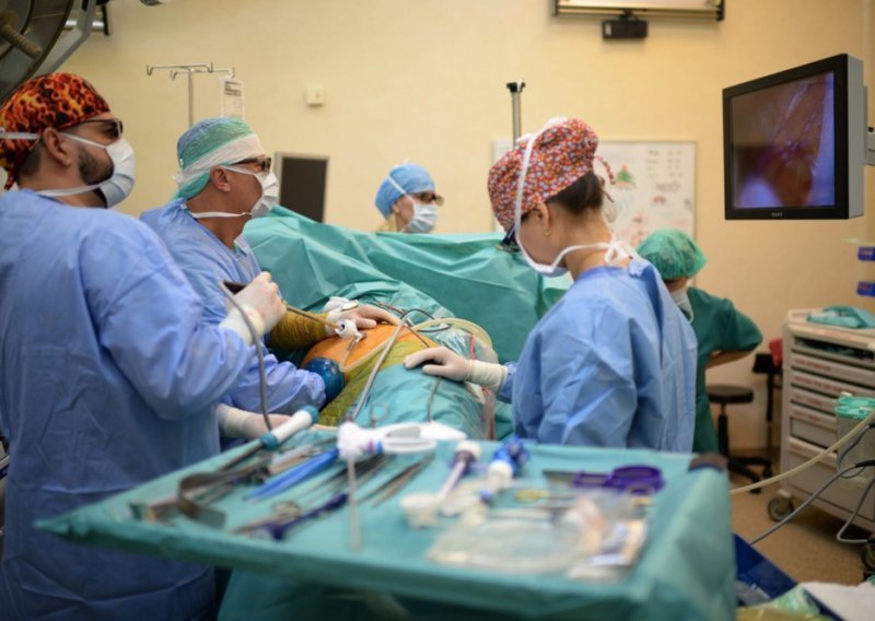 Povijesna odluka Vatikana: Dopušteno presađivanje životinjskih organa u ljude