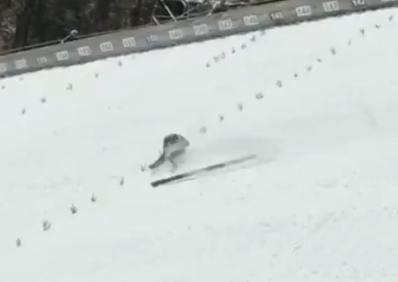 Užas na Planici! Pogledajte pad slovenskog skakača, u nesvijesti se kotrljao niz skakaonicu