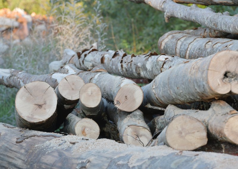 Novi potez Vlade: Socijalno ugroženi dobivaju veći popust na drva