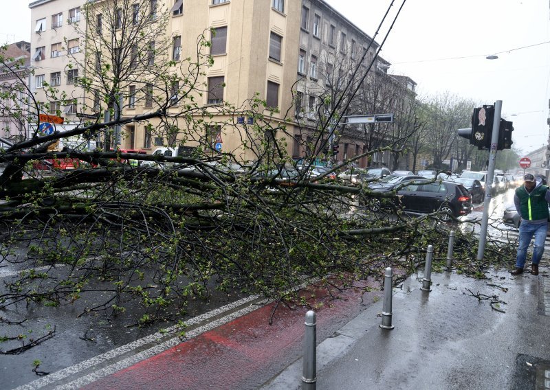Jak vjetar čupa stabla diljem Zagreba: Zeleni val u blokadi, uništeni auti