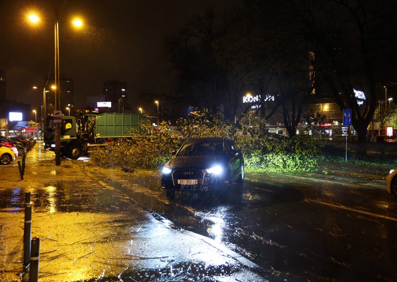 Prekinut promet ključnom zagrebačkom arterijom: Vjetar srušio još jedno stablo