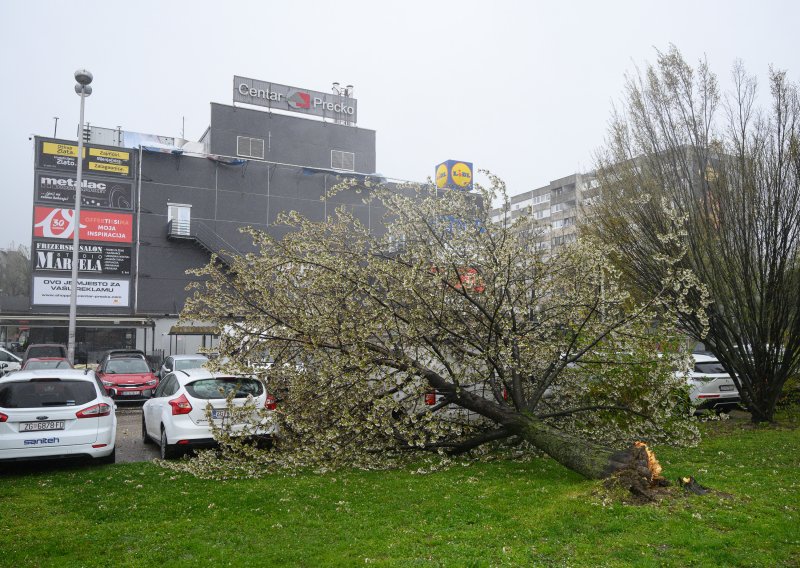 Čim krene nevrijeme, stabla se masovno ruše: Evo zašto se baš u Zagrebu javlja ovaj problem