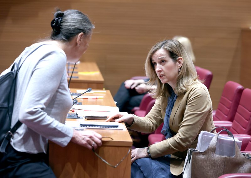 Ahmetović napala Vladu: Hrvatska služi kao cijev za tuđe energente dok se naši resursi prodaju