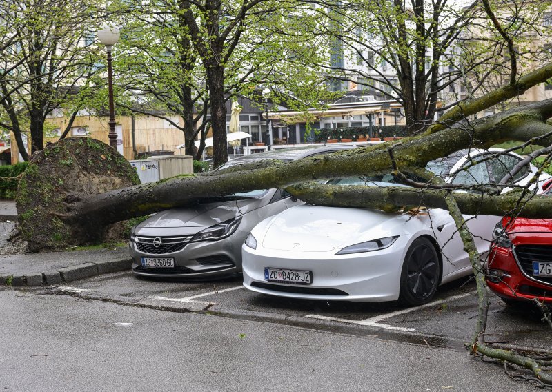 Evo pod kojim je stablima najopasnije parkirati auto dok traje nevrijeme