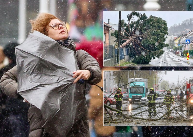 Hrvatsku je poharao orkan, stručnjaci upozoravaju: 'Bit će toga u proljeće i u jesen'