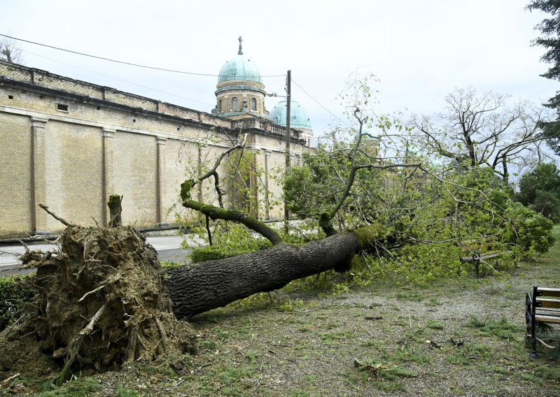 FOTO Olujni vjetar nije poštedio ni Mirogoj: Srušena i stoljetna stabla