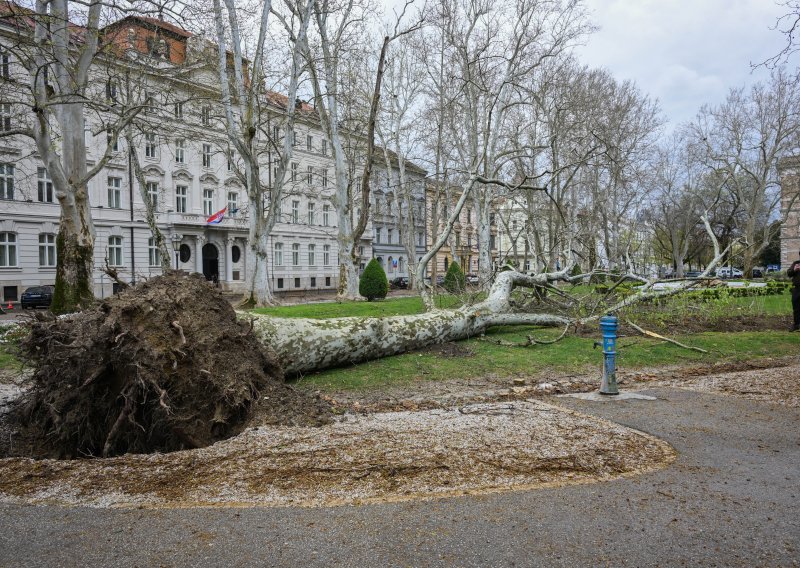 Hrvatske šume: Boravak na Medvednici i parkovima opasan je po život
