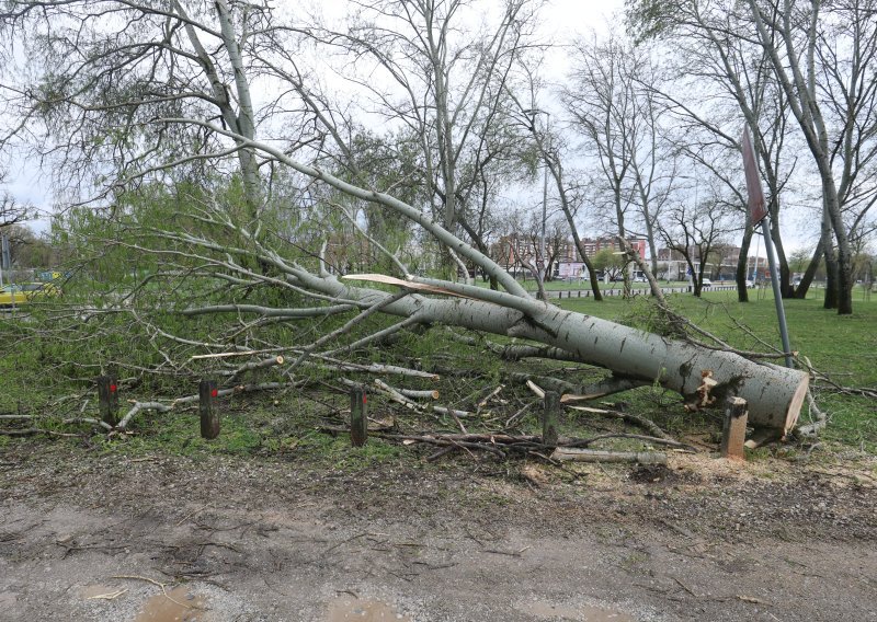 Strašne brojke: Gotovo 10 tisuća stabala oštećeno u zagrebačkom nevremenu, oko 3500 ih se mora ukloniti