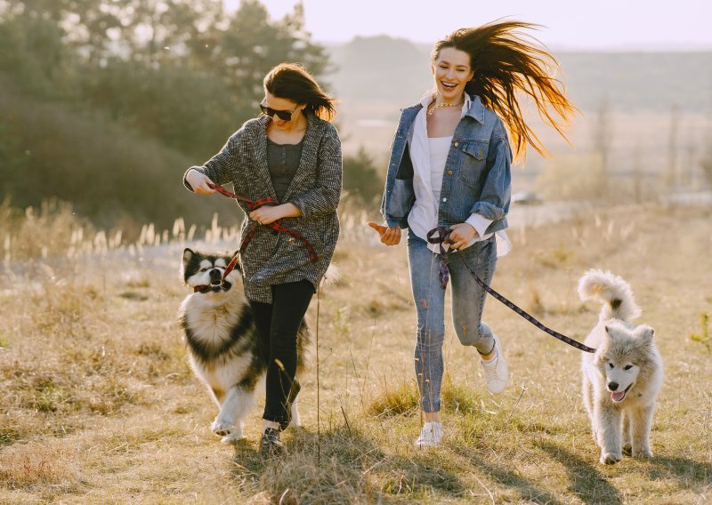 Šetnja s psom je više od obaveze: Mali ritual koji spašava živce