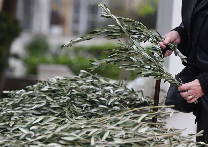 Danas je Cvjetnica, nedjelja Muke Gospodnje. Znate li što vjernici obilježavaju?