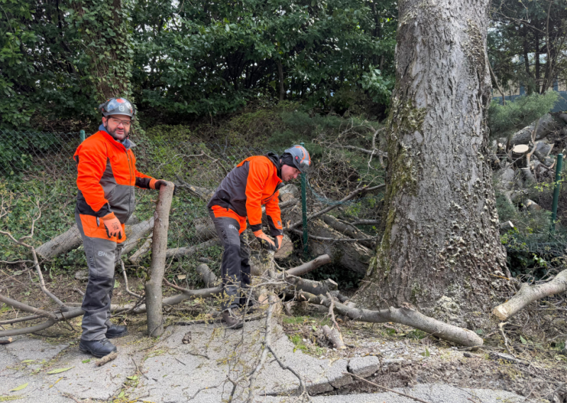 Vrtići u Zagrebu otvoreni, Sljemenska cesta ostaje zatvorena