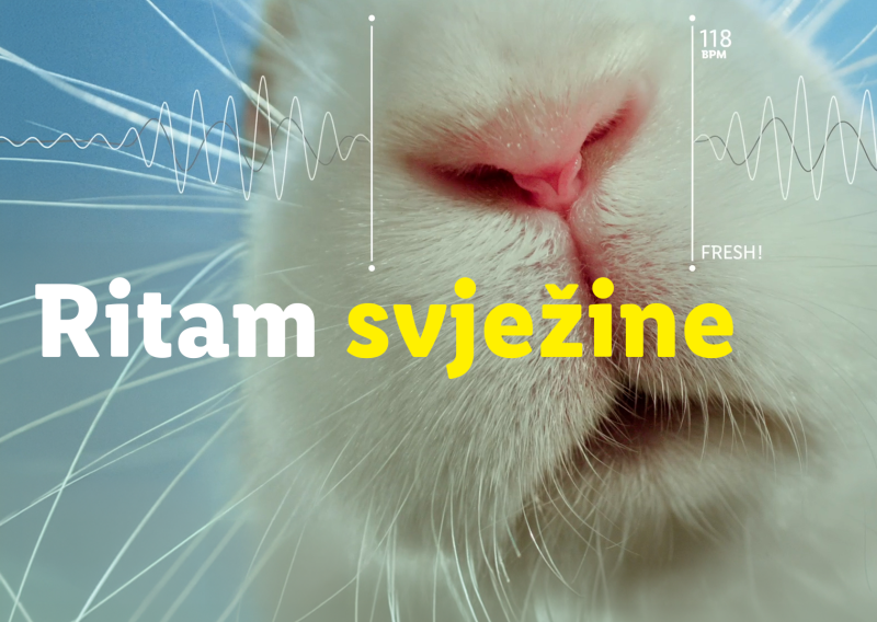 ‘Ritam svježine’: Lidl testira svježinu kroz kreativnu kampanju na društvenim mrežama