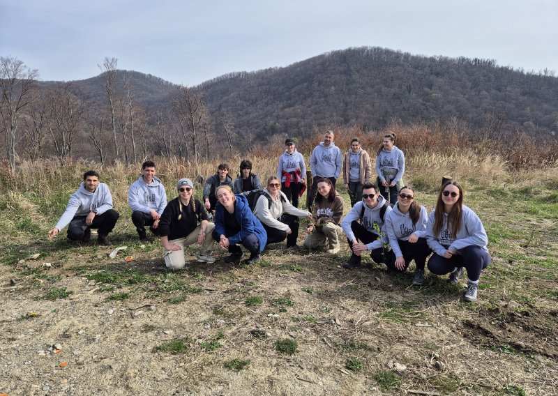 Studenti urbanog šumarstva na Medvednici: Posađeno 55 sadnica divlje kruške za očuvanje bioraznolikosti