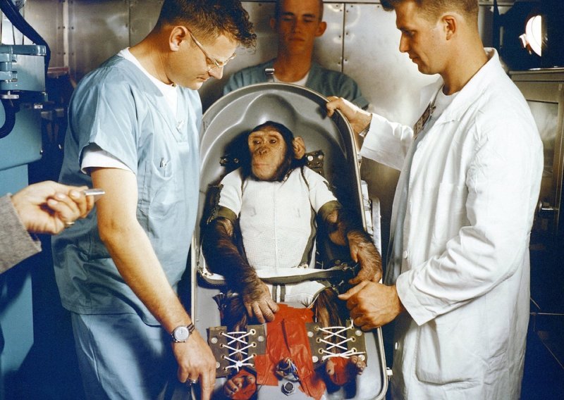 Lajka nije jedina: Evo koje su sve životinje ljudi poslali u svemir