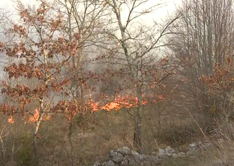 Vatrena stihija kod Barbana: Požar se brzo širi zbog jake bure
