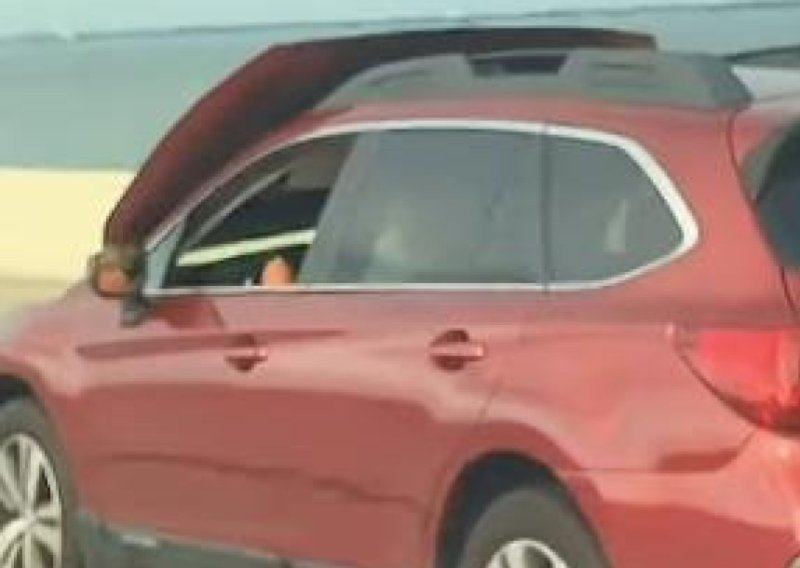 Vozaču se usred vožnje otvorila hauba i prekrila vjetrobransko staklo. Pogledajte što je napravio