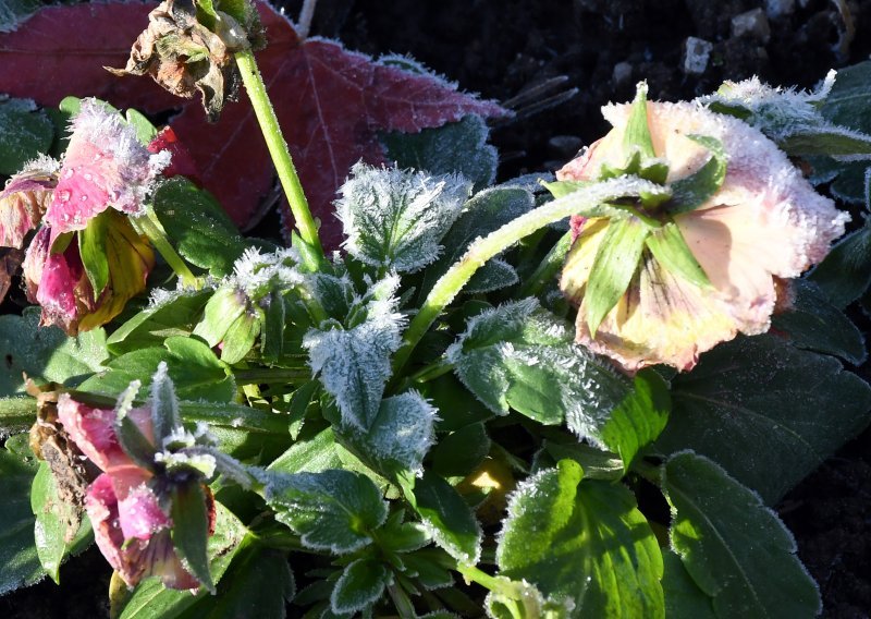 Dani pred nama bit će divni, ali nekima još uvijek prijeti mraz: Evo kad će bura opet jačati