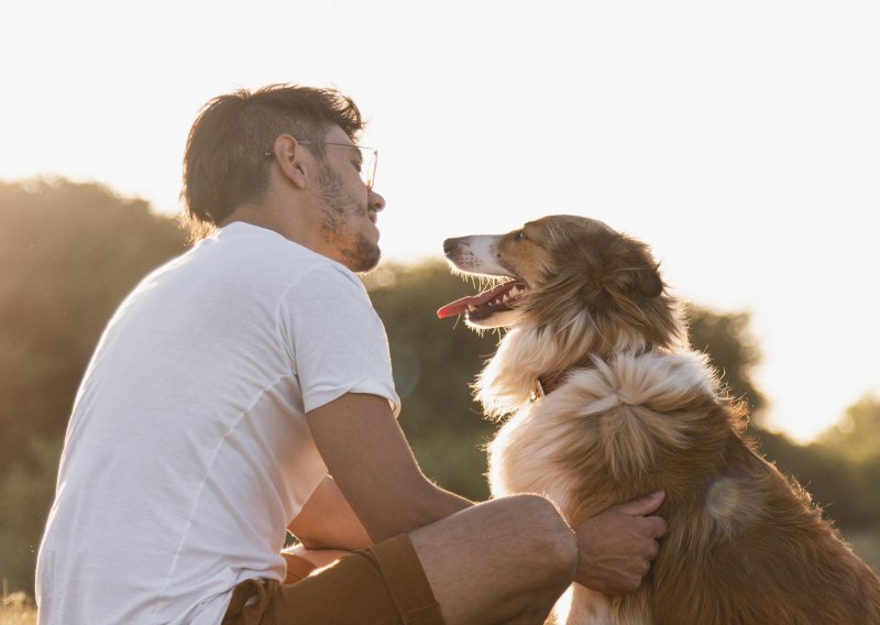 Snažna povezanost: Kako od ljubimca napraviti najboljeg prijatelja