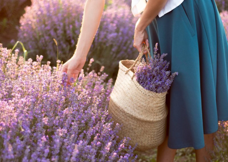 Savršen izbor za 'lijene' vrtlare: Ovih pet biljaka voli kad ih pustite na miru