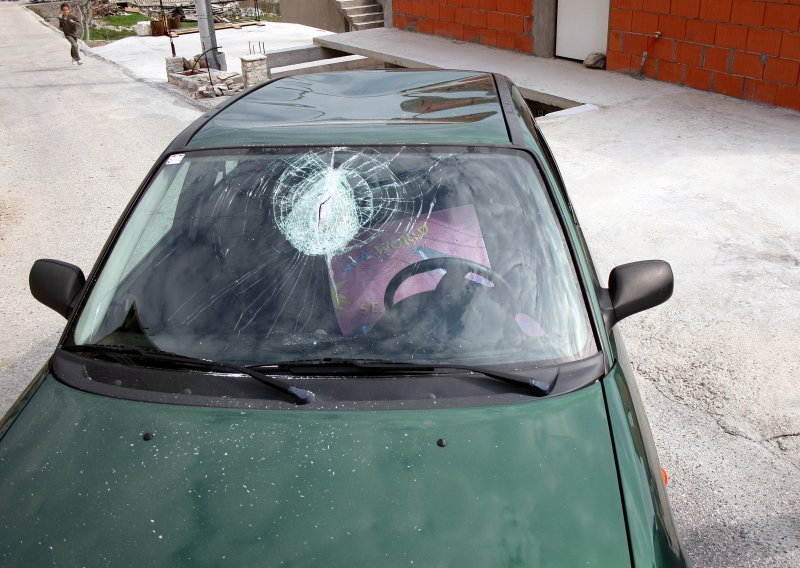 Što ako vam se ptica zabije u auto? Evo što kaže hrvatski zakon