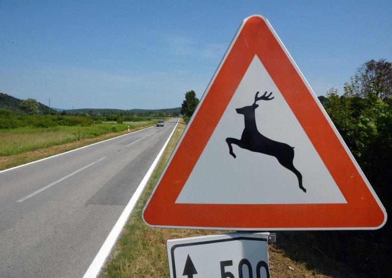 Vozači, oprez: Srna na A3, vozi se uz ograničenje brzine