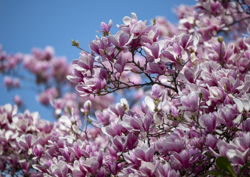 Kakav nas vikend očekuje? Bit će naoblake, ali i sunca
