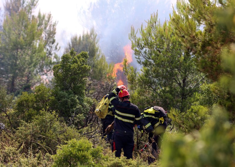 Palio travu da otjera vukove pa izazvao požar kod Šibenika