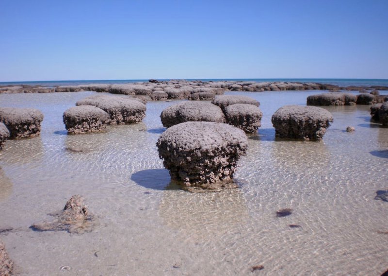 Najstariji ekosustav na svijetu otkriva kako je zapravo nastao život na Zemlji