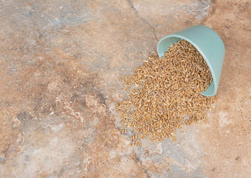 Rusija predlaže BRICS-u i Euroazijskoj ekonomskoj uniji zajedničke rezerve hrane