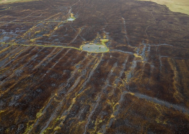 Pogledajte apokalipsu u dolini Neretve: Izgorjeli hektari zaštićenog rezervata