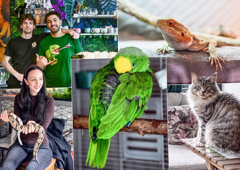 Iz ljubavi Jordanca i Makaranke rodio se kafić u kojem možete piti kavu u društvu pitona, mačaka i papiga