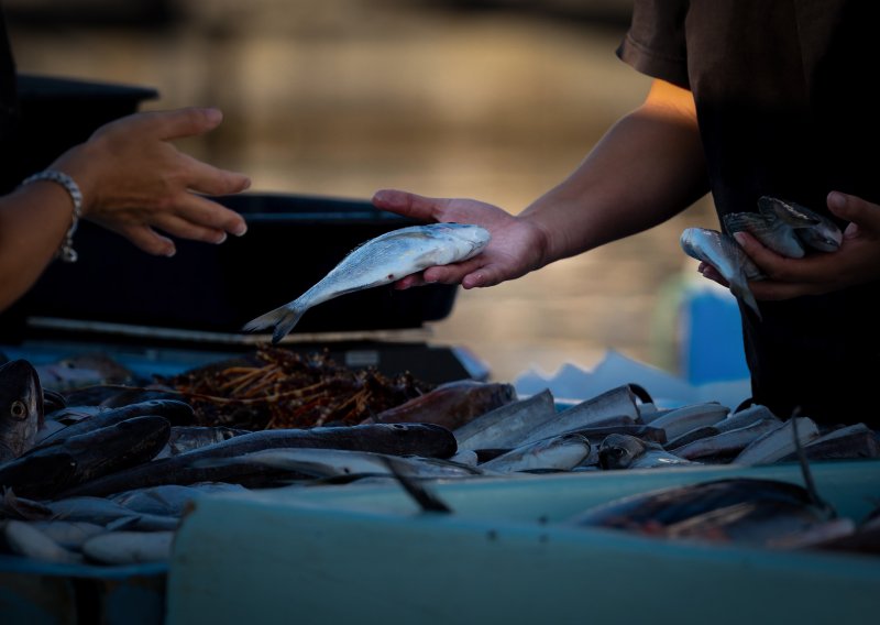 EU sprema pomoć ribarima: Za hitnu mjeru pripremljeno 760 milijuna eura