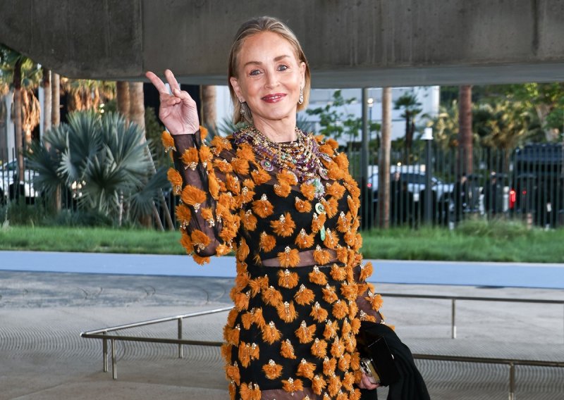Sve je zasjenila: Sharon Stone pokazala kako se nosi 'gola' haljina u 68-oj